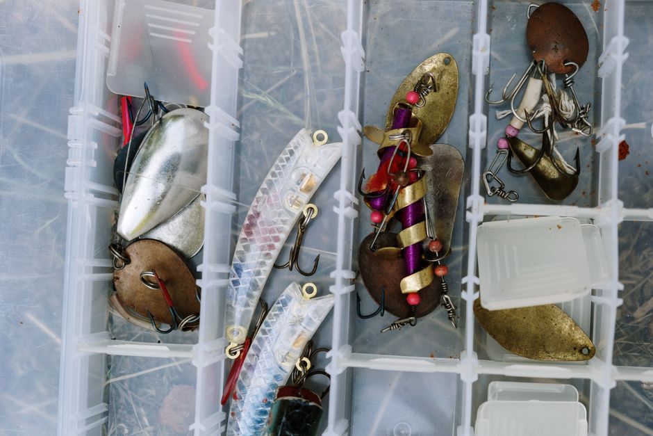 Top view of various fishing lures in a compartmentalized tackle box, showcasing vibrant fishing gear.